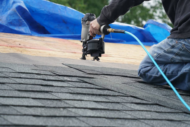 Best Roof Gutter Cleaning  in Olcott, NY