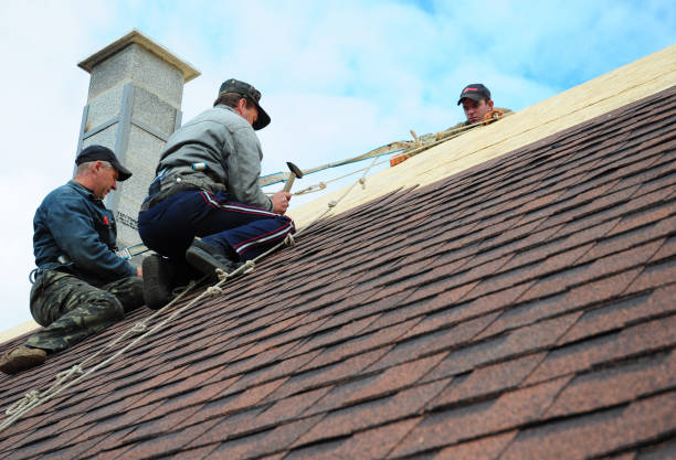 Best Roof Gutter Cleaning  in Olcott, NY